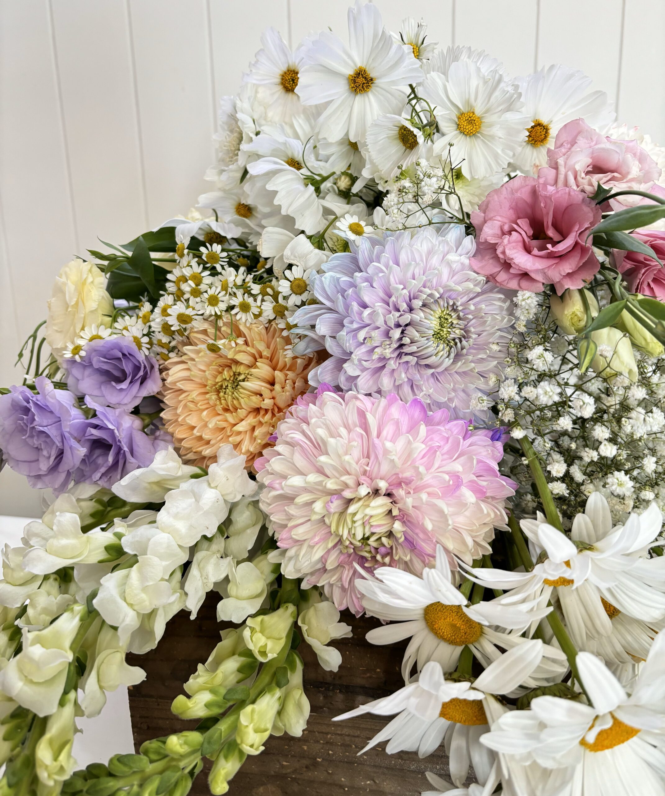 Flower Delivery Adelaide The Blu Tulip » The Blu Tulip