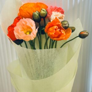 Poppies